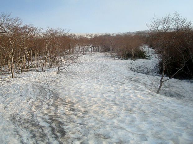 横長根への雪道