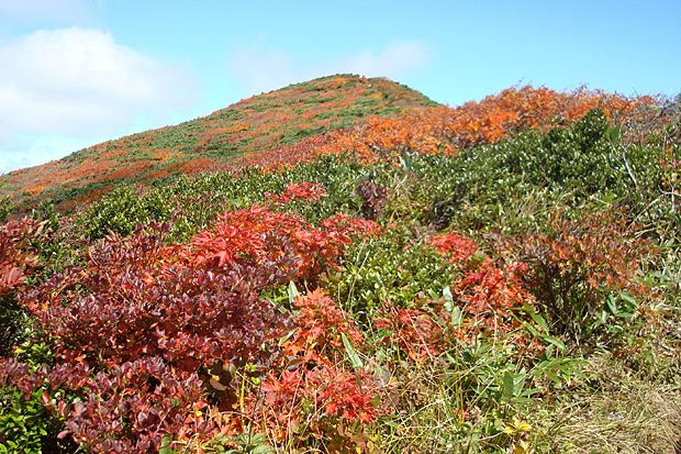 鮮やかな赤とオレンジと緑の山頂へ続く稜線