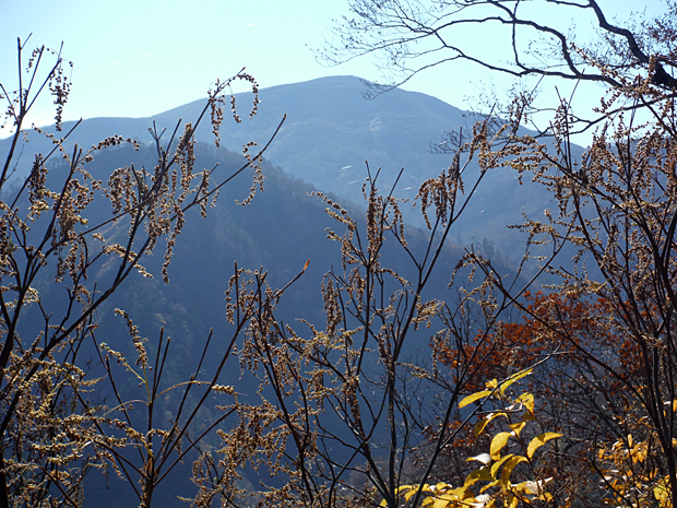 木々の間から望む経塚山