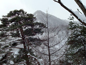 不動岳から望む東根山